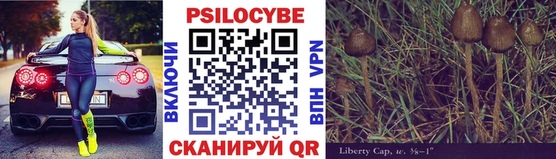 Галлюциногенные грибы Cubensis  Инта 